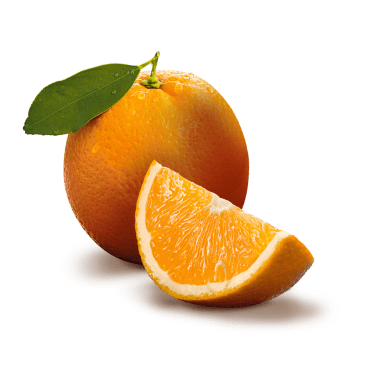Sunny fruit