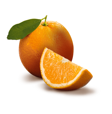 Sunny fruit