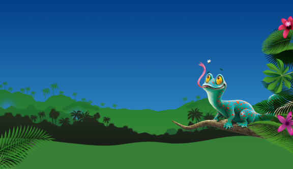 hero carousel placeholder 2.2