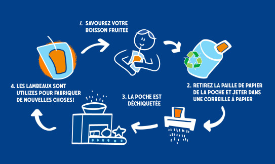 Infographic French