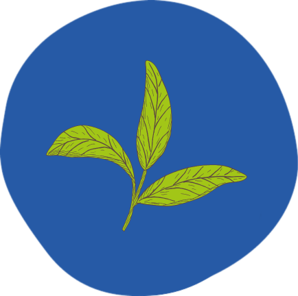 4 Stevia or other sweeteners