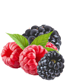 Electrolytes BlackberryRaspberry