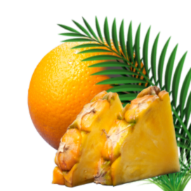 Syrup Jungle Zero Desktop Left
